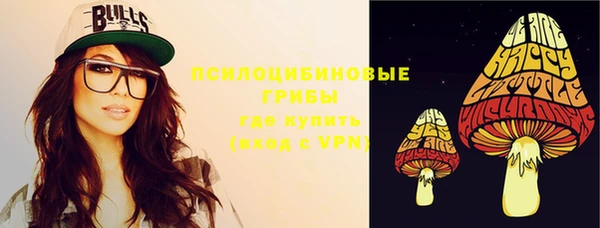 apvp Нягань