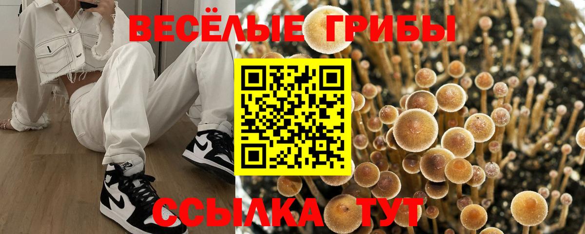 Псилоцибиновые грибы Psilocybe  Вход с VPN  где продают наркотики  Зеленодольск 